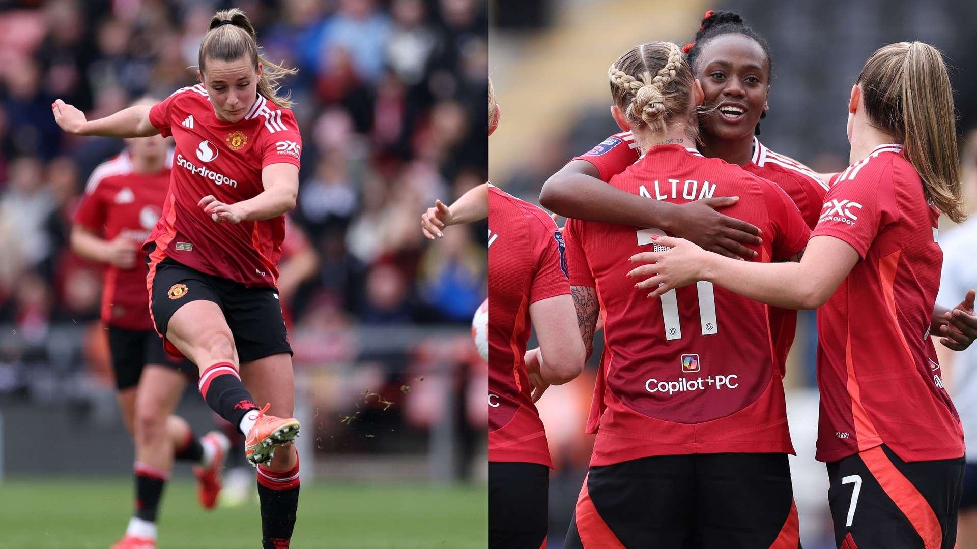 家的伙伴关 家的伙伴关