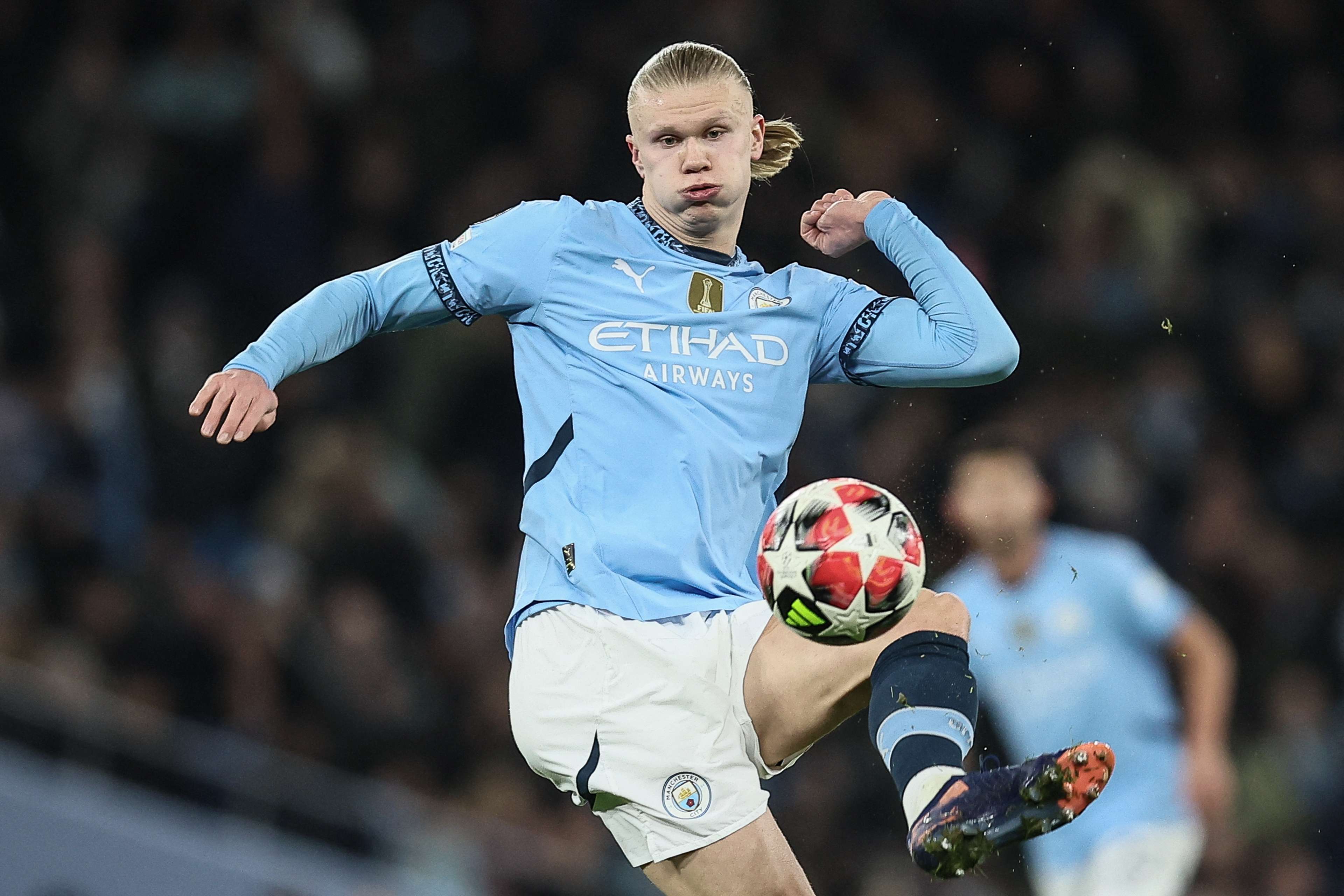 动灵活性 动灵活性